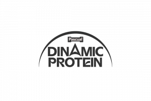 Dinamic Protein